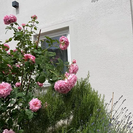 Mia Appartement