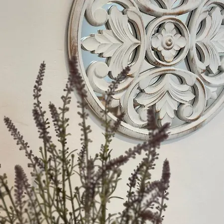 Daire Mia İnnsbruck