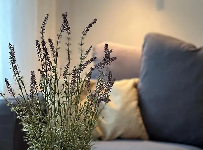 Mia 公寓 因斯布鲁克